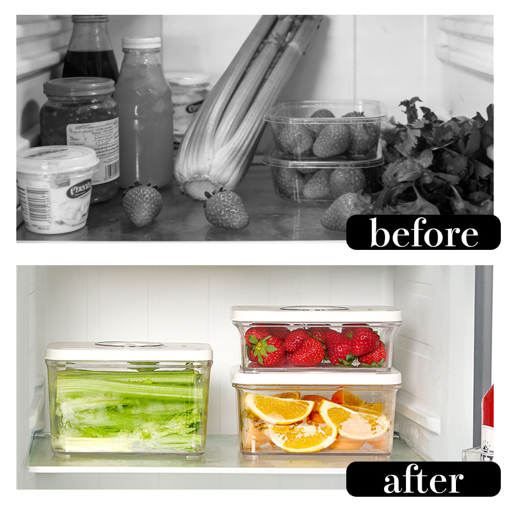 真空パック機 コードレス 家庭用 真空パック器 シーラー フードシーラー 真空 真空パック 本体 専用 袋 ロール 耐熱 容器 ヒートシーラー 米 保存